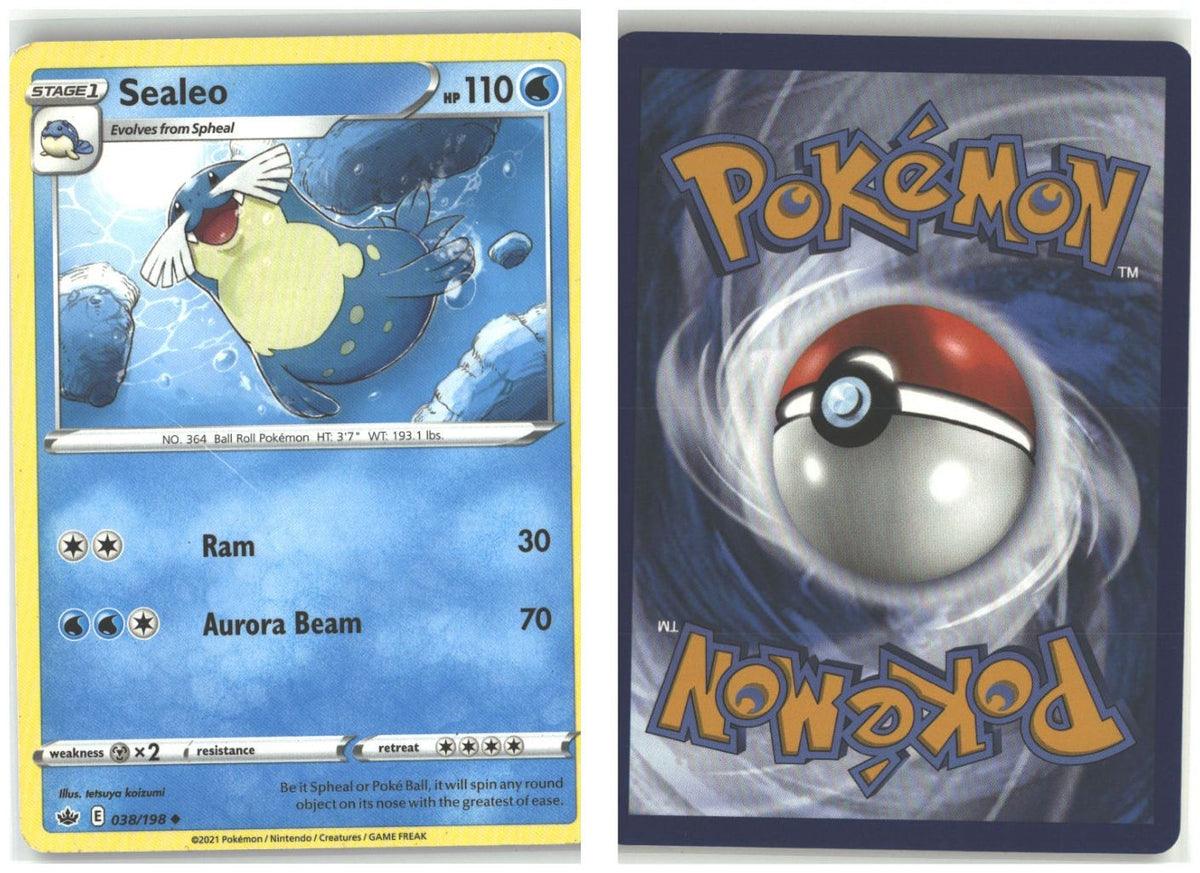 Front + Back scan
