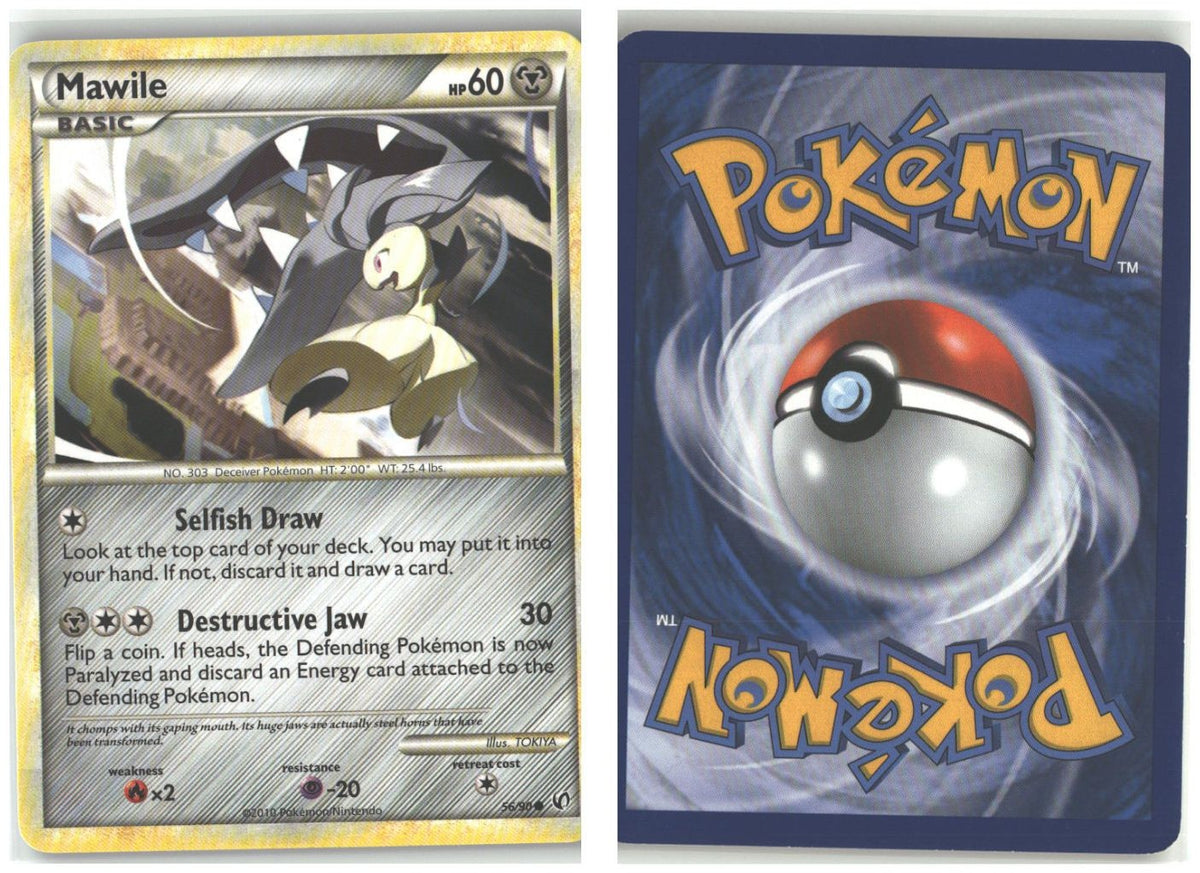 Front + Back scan