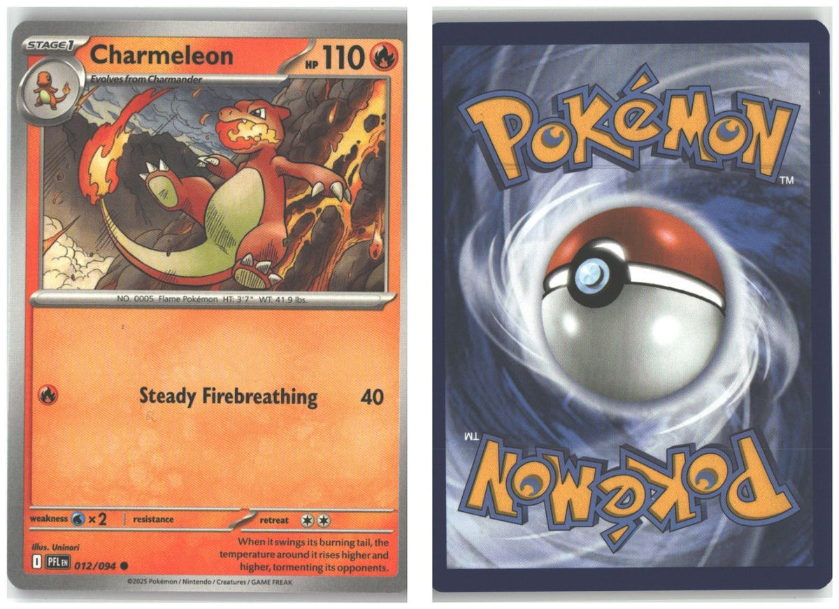 Front + Back scan