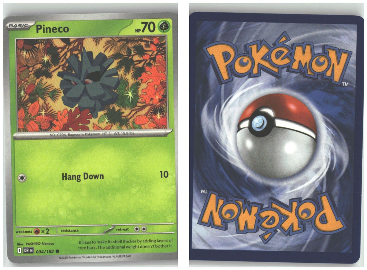 Front + Back scan