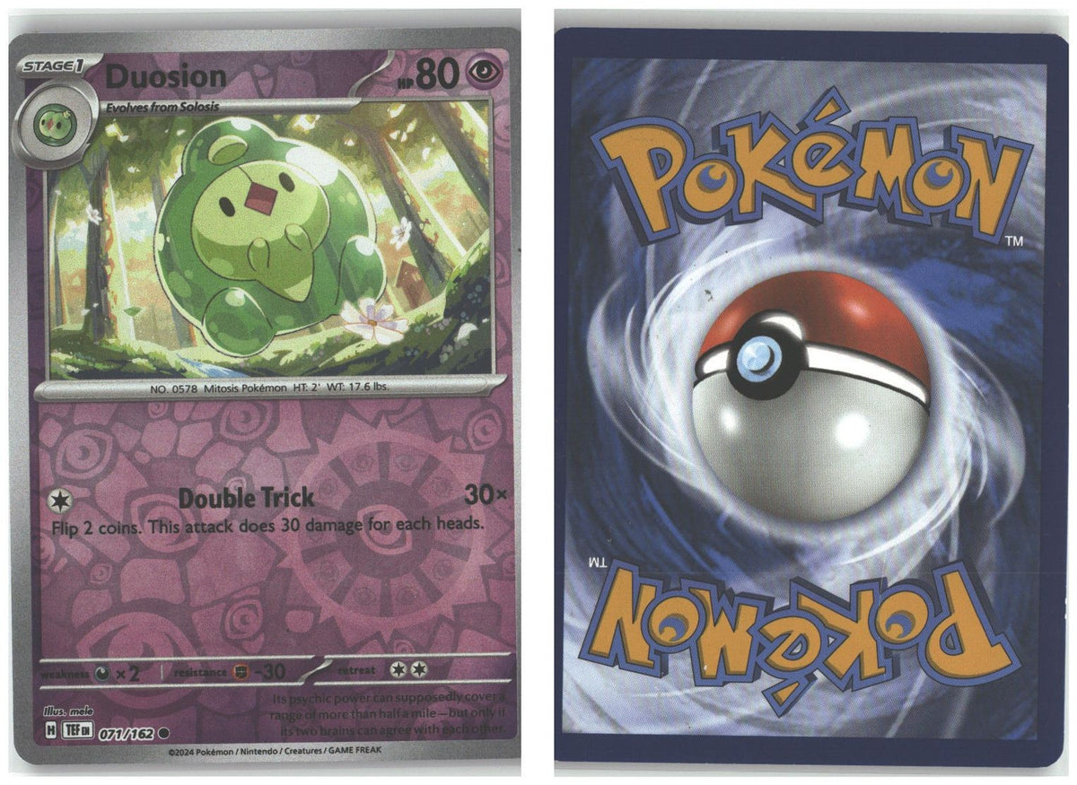 Front + Back scan