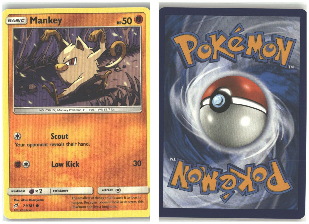 Front + Back scan