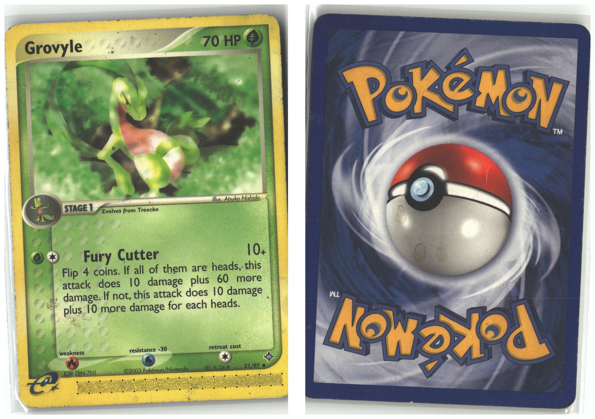 Front + Back scan