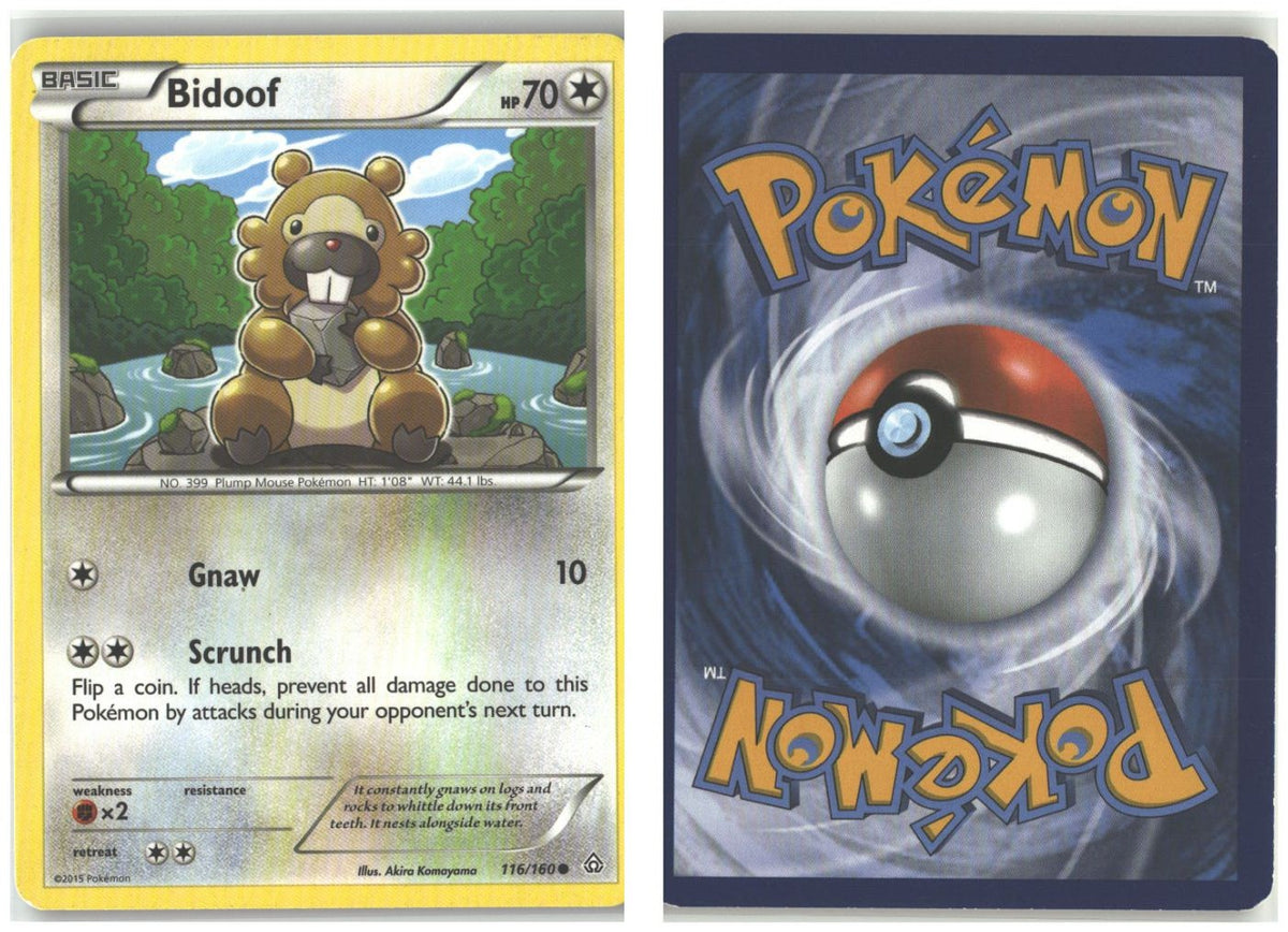 Front + Back scan