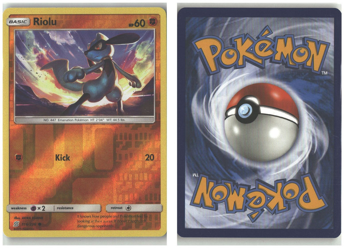 Front + Back scan