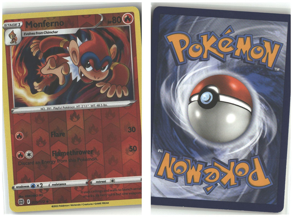 Front + Back scan