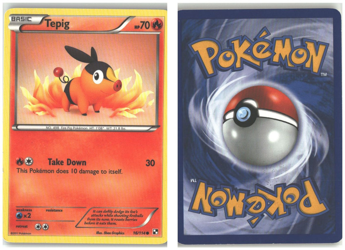 Front + Back scan