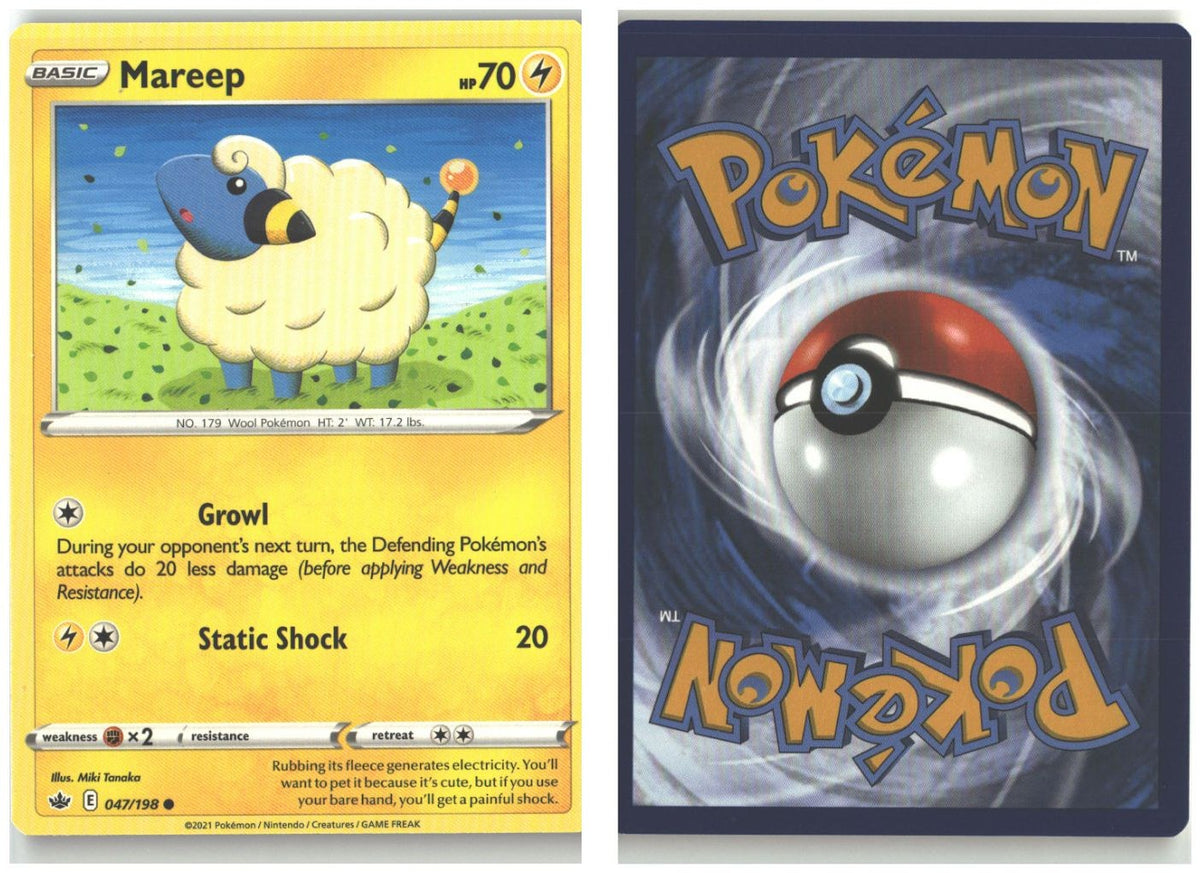 Front + Back scan
