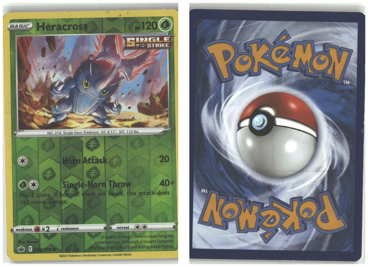 Front + Back scan