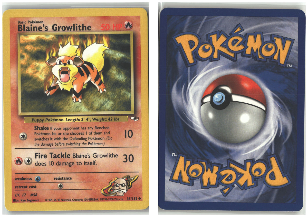 Front + Back scan