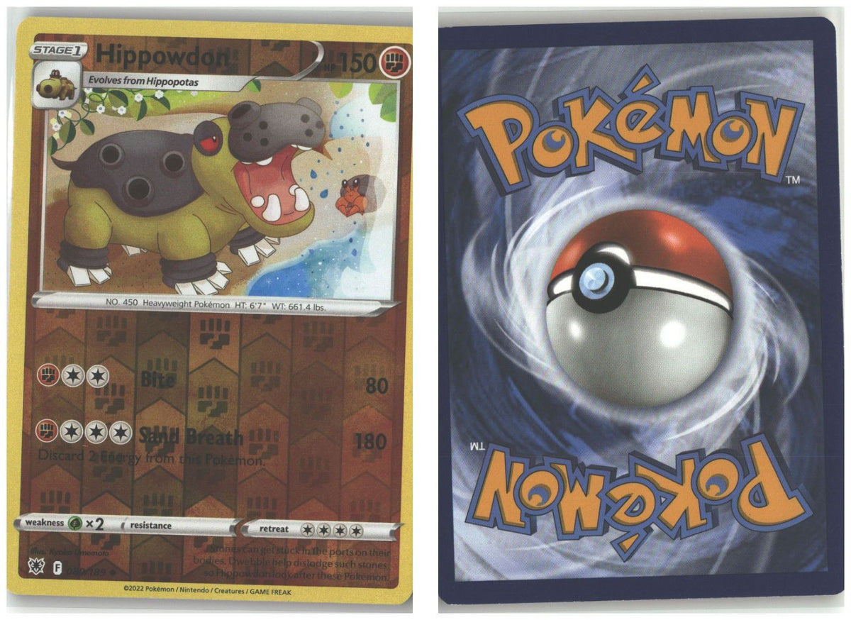 Front + Back scan