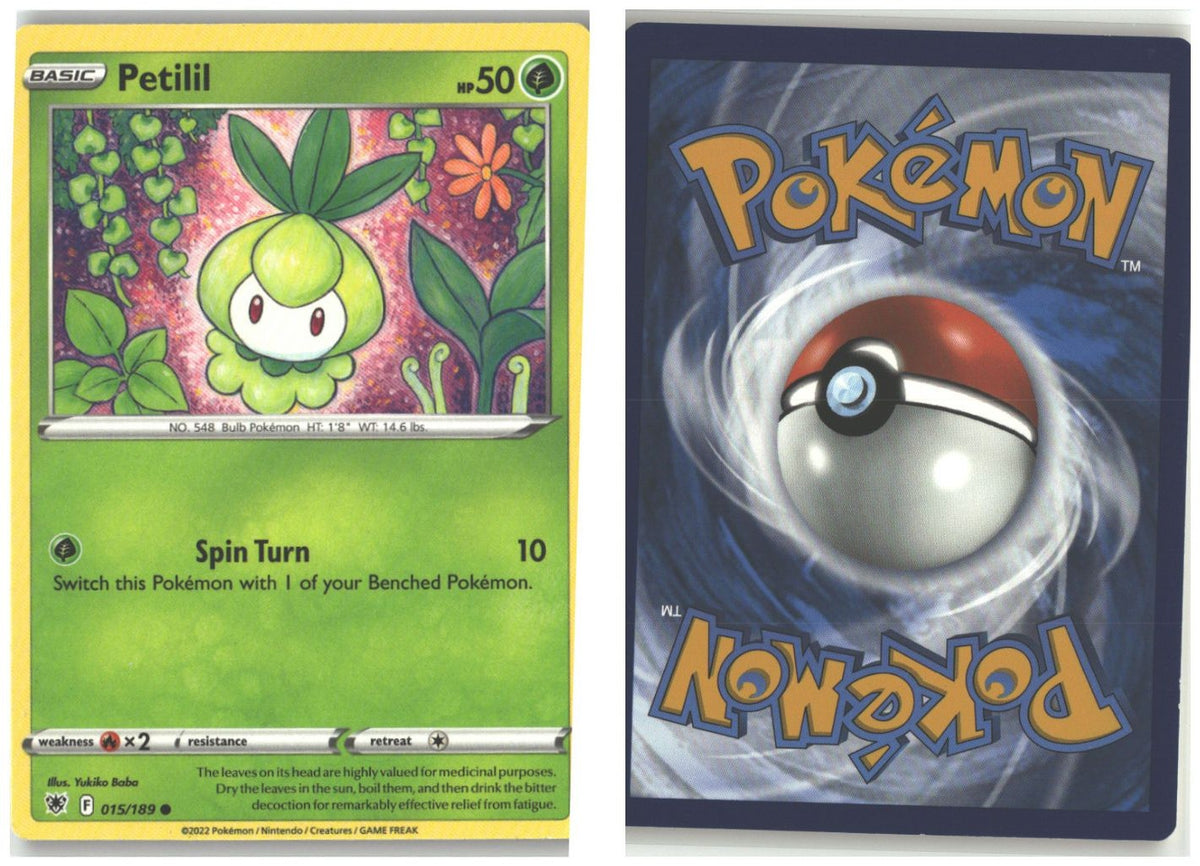 Front + Back scan