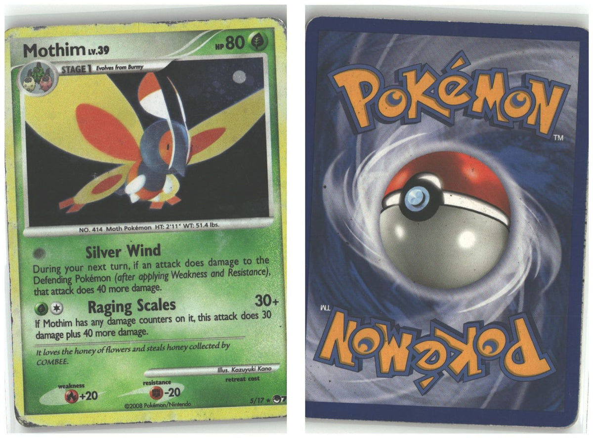 Front + Back scan