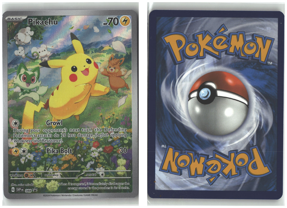 Front + Back scan