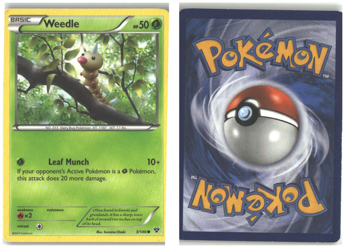 Front + Back scan