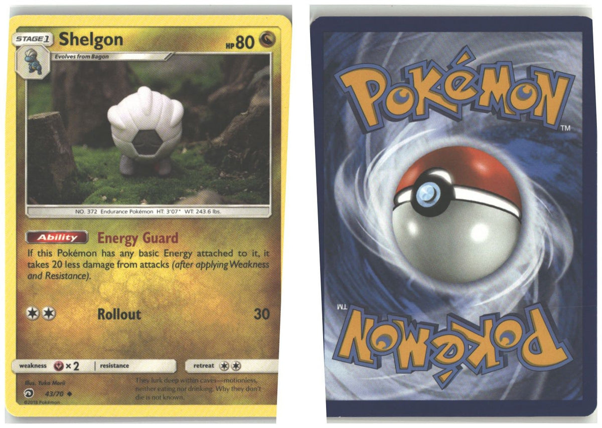 Front + Back scan