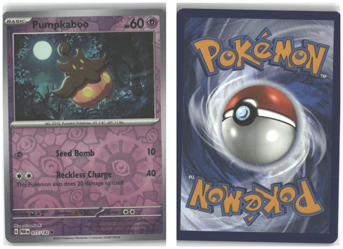 Front + Back scan