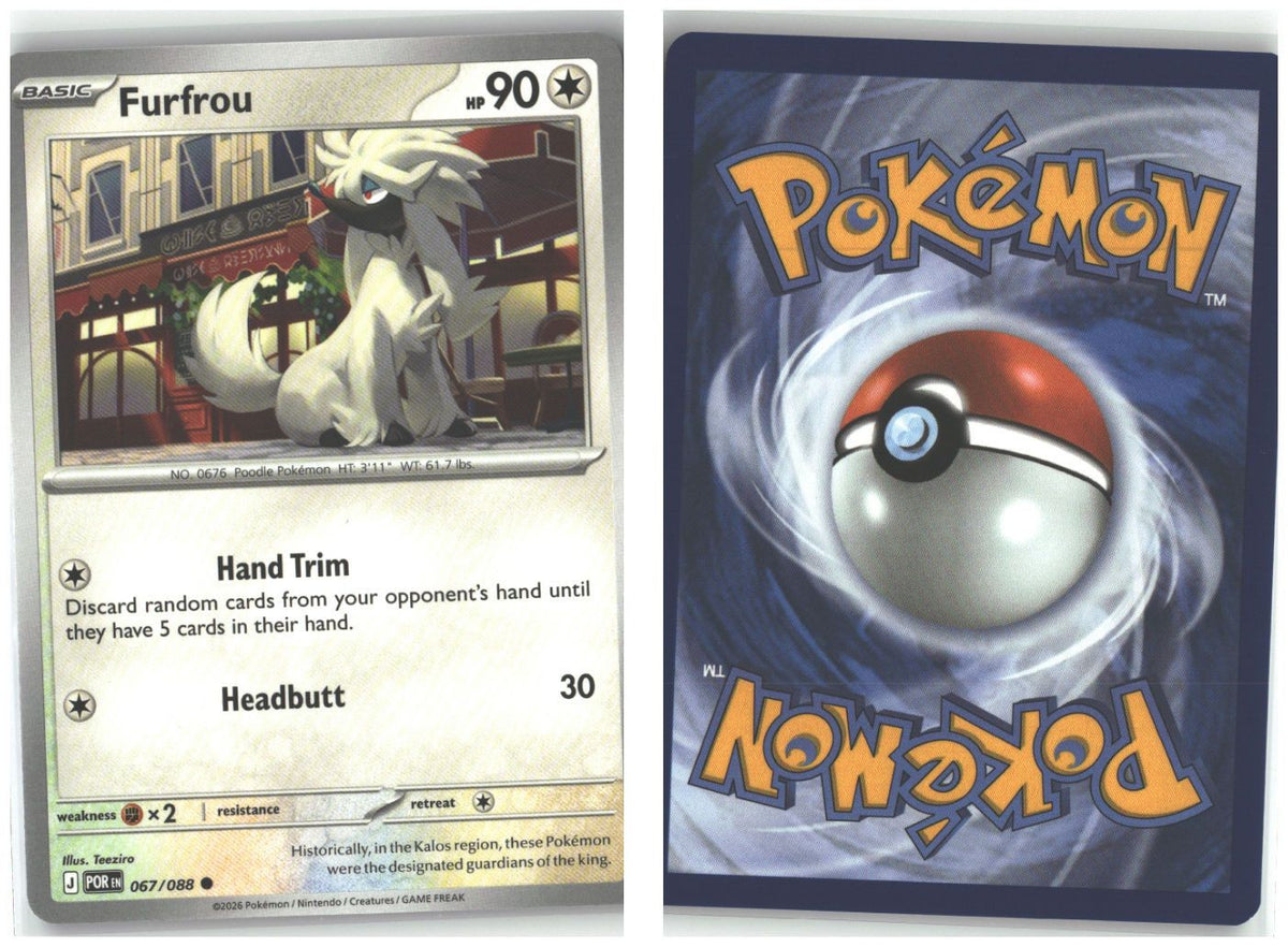 Front + Back scan