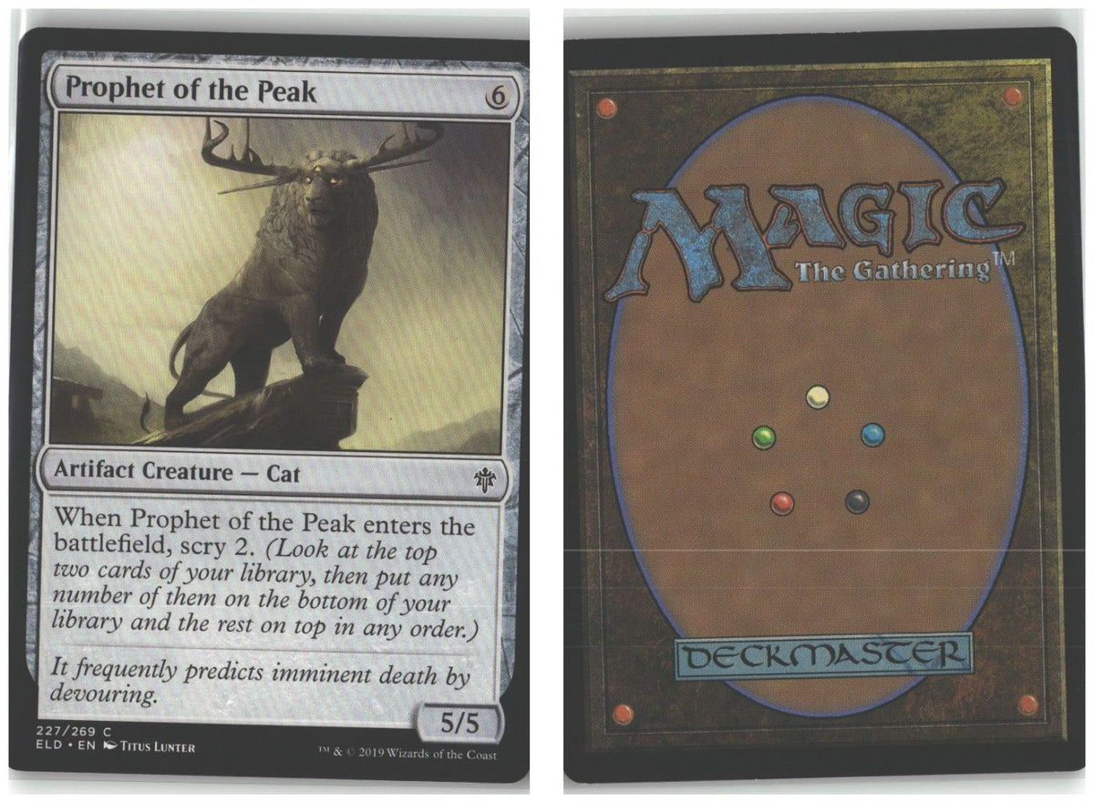 Front + Back scan
