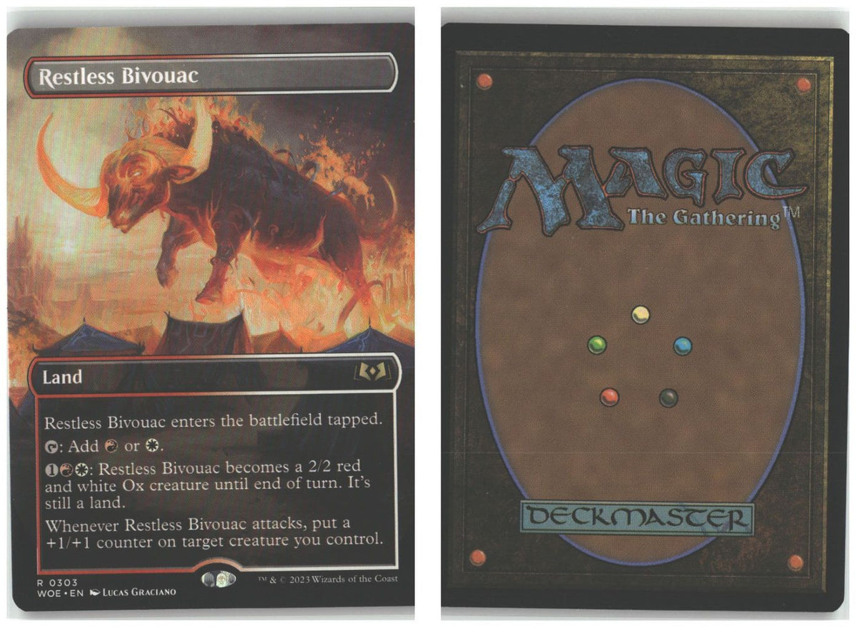 Front + Back scan