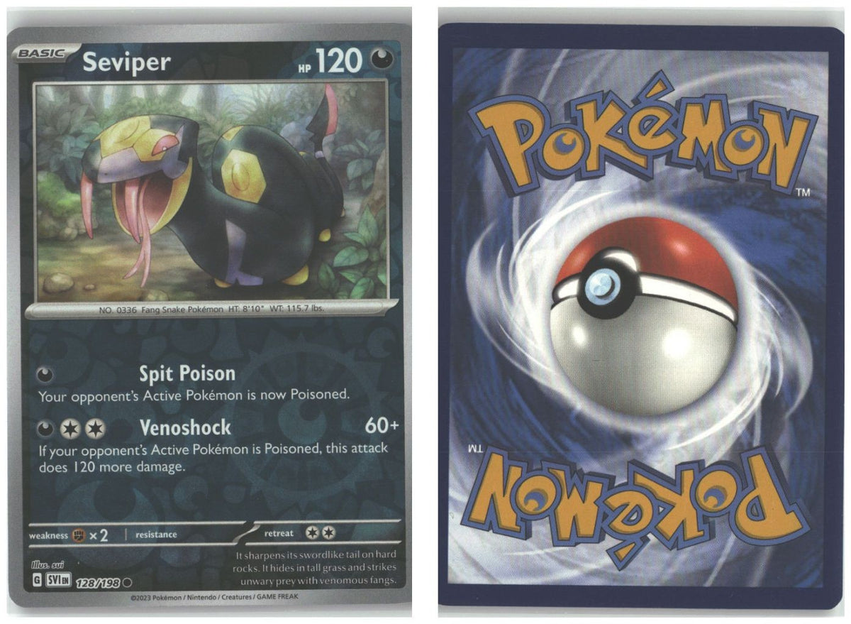 Front + Back scan