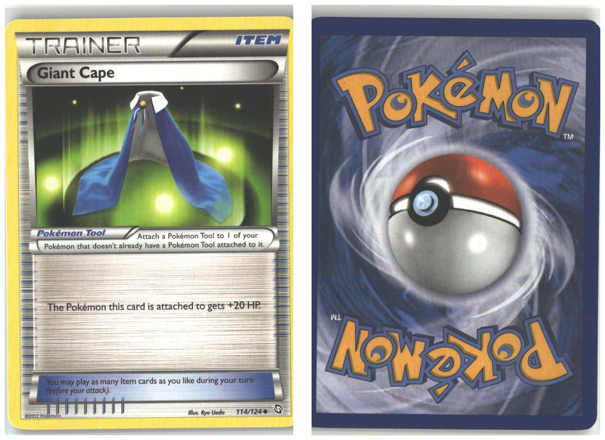 Front + Back scan