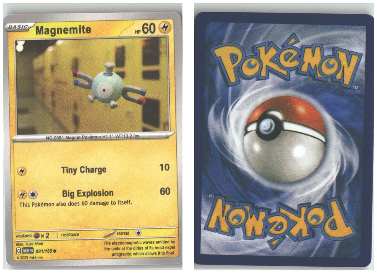Front + Back scan
