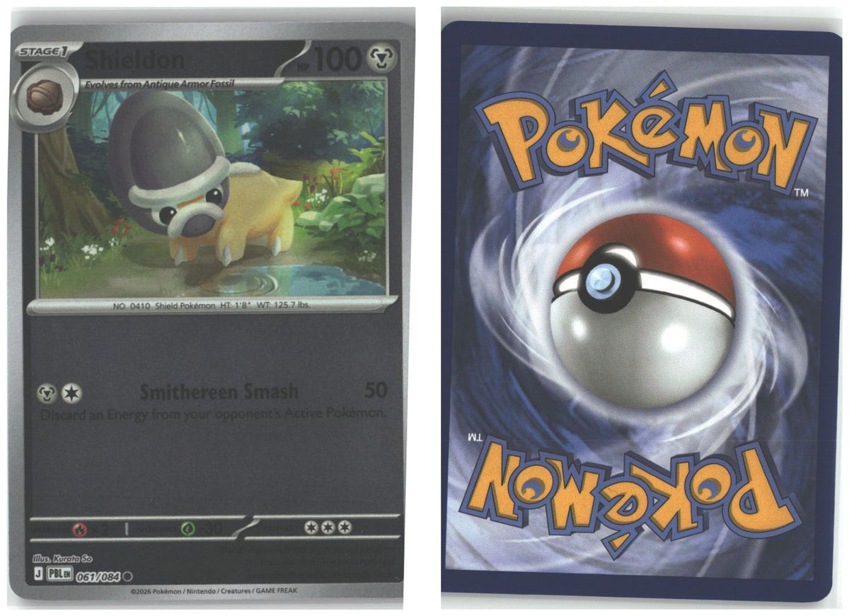 Front + Back scan