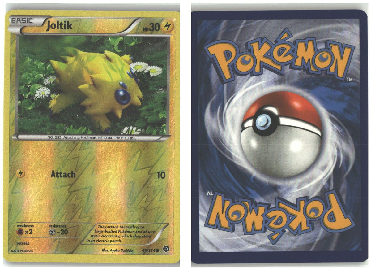 Front + Back scan