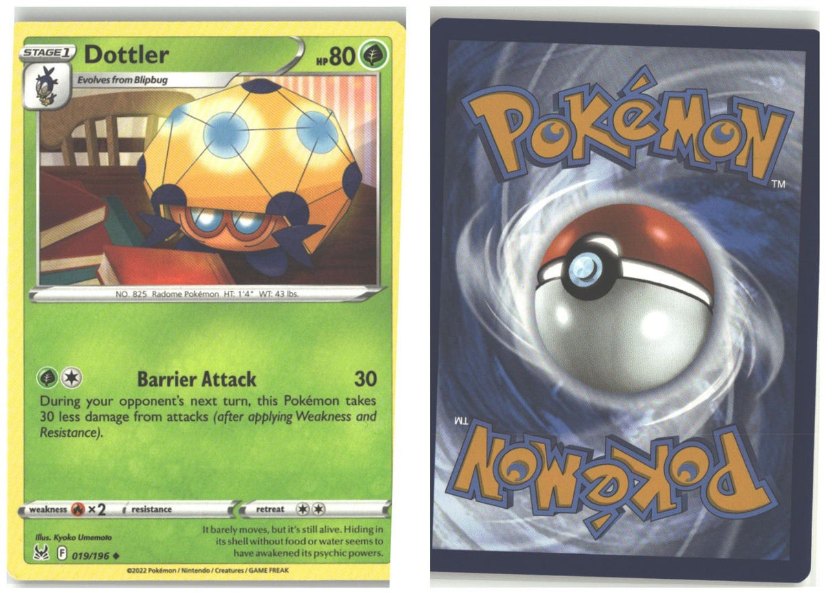 Front + Back scan