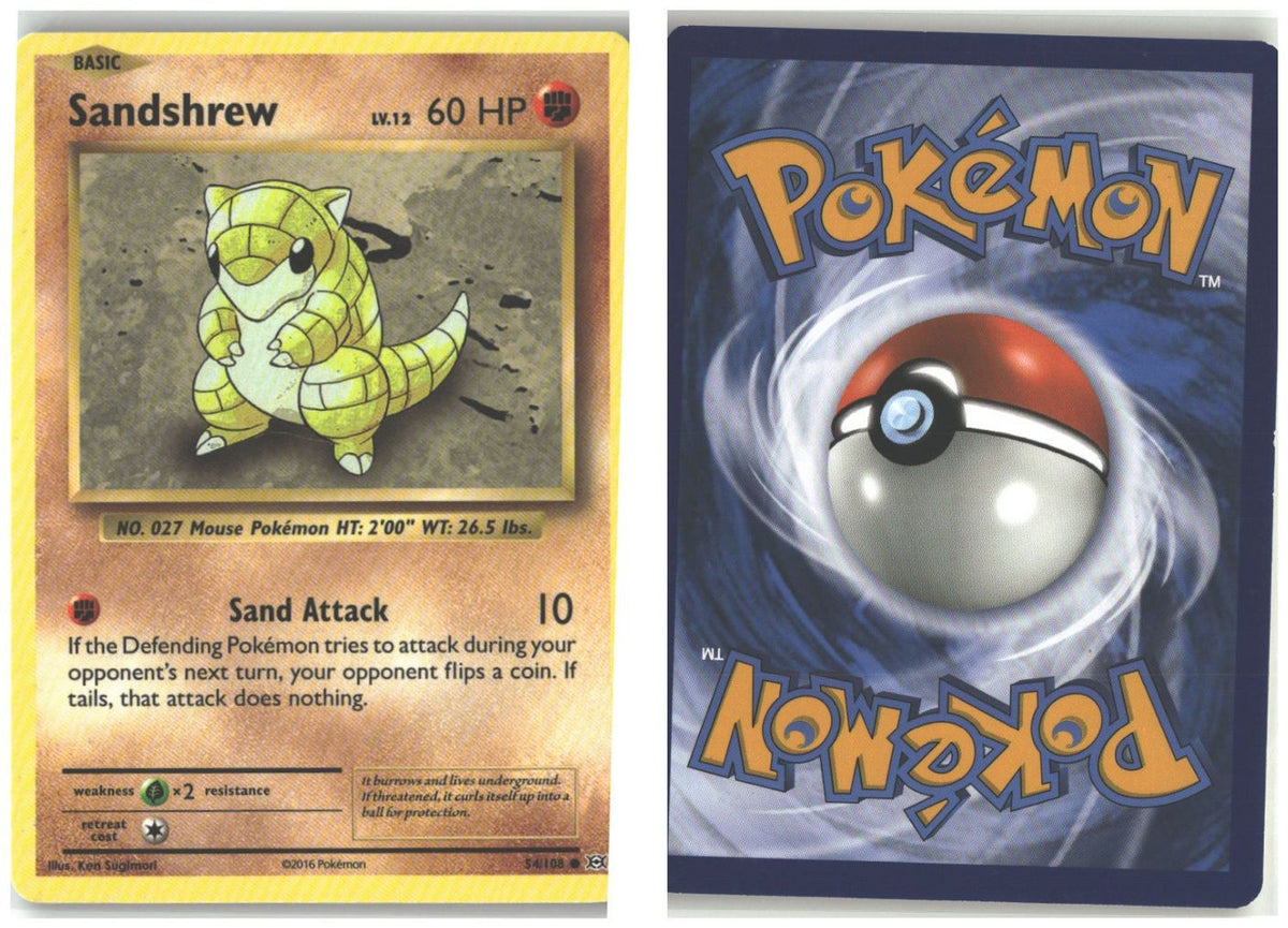 Front + Back scan