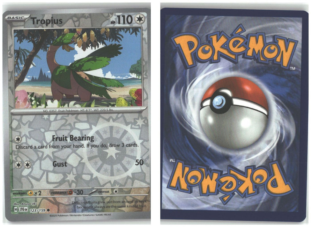 Front + Back scan