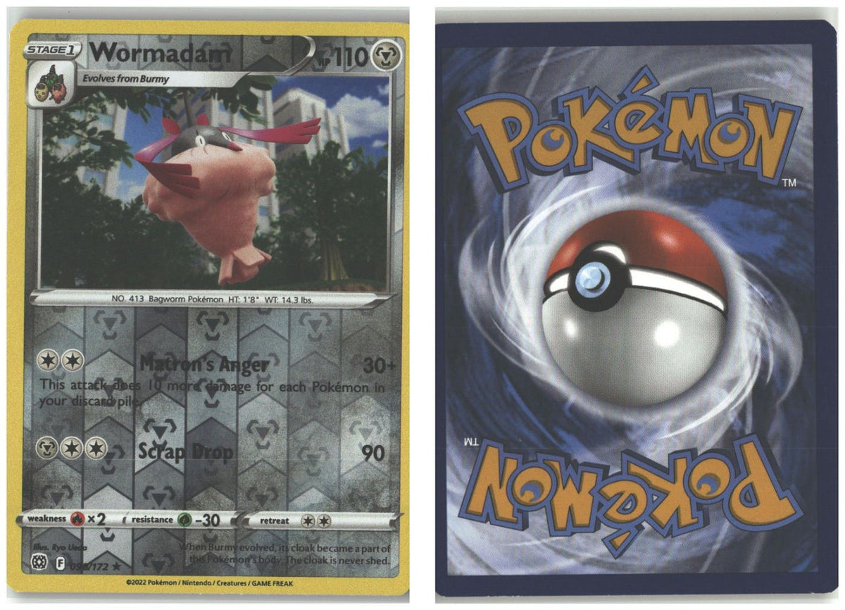 Front + Back scan