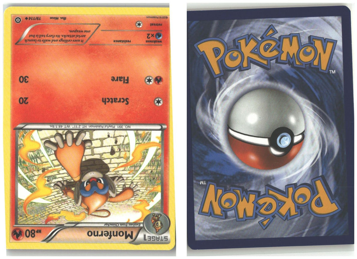 Front + Back scan