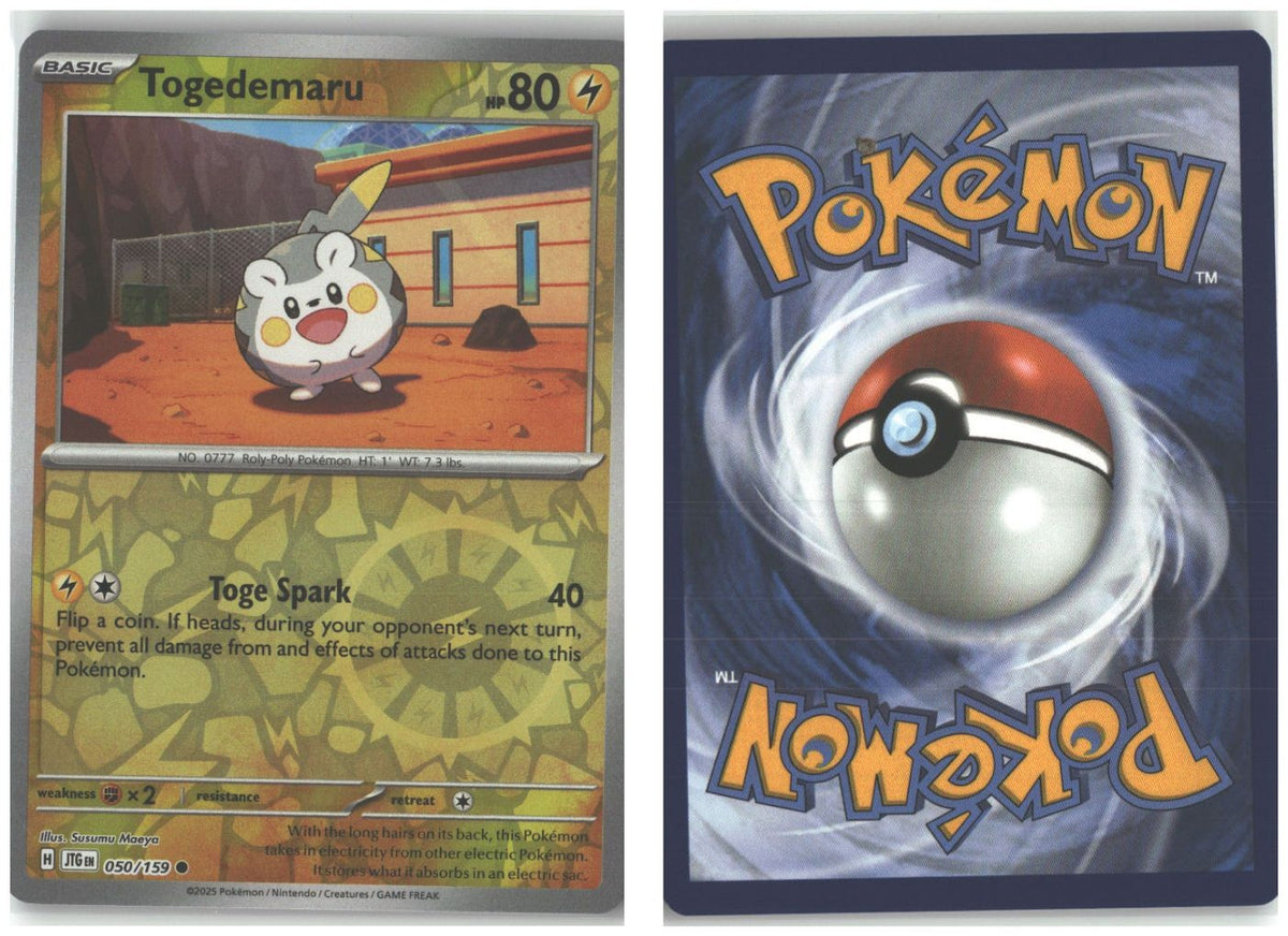 Front + Back scan
