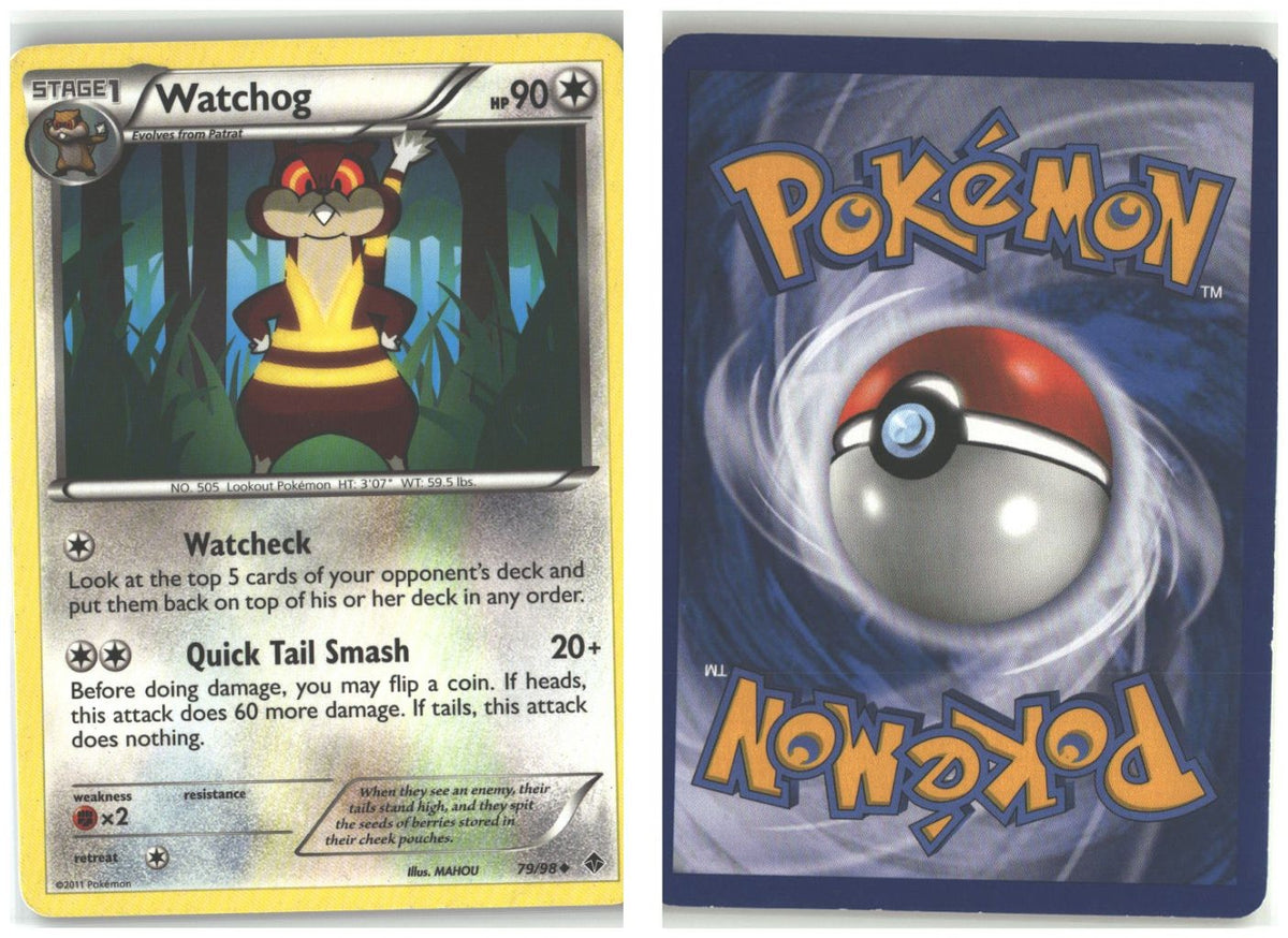 Front + Back scan