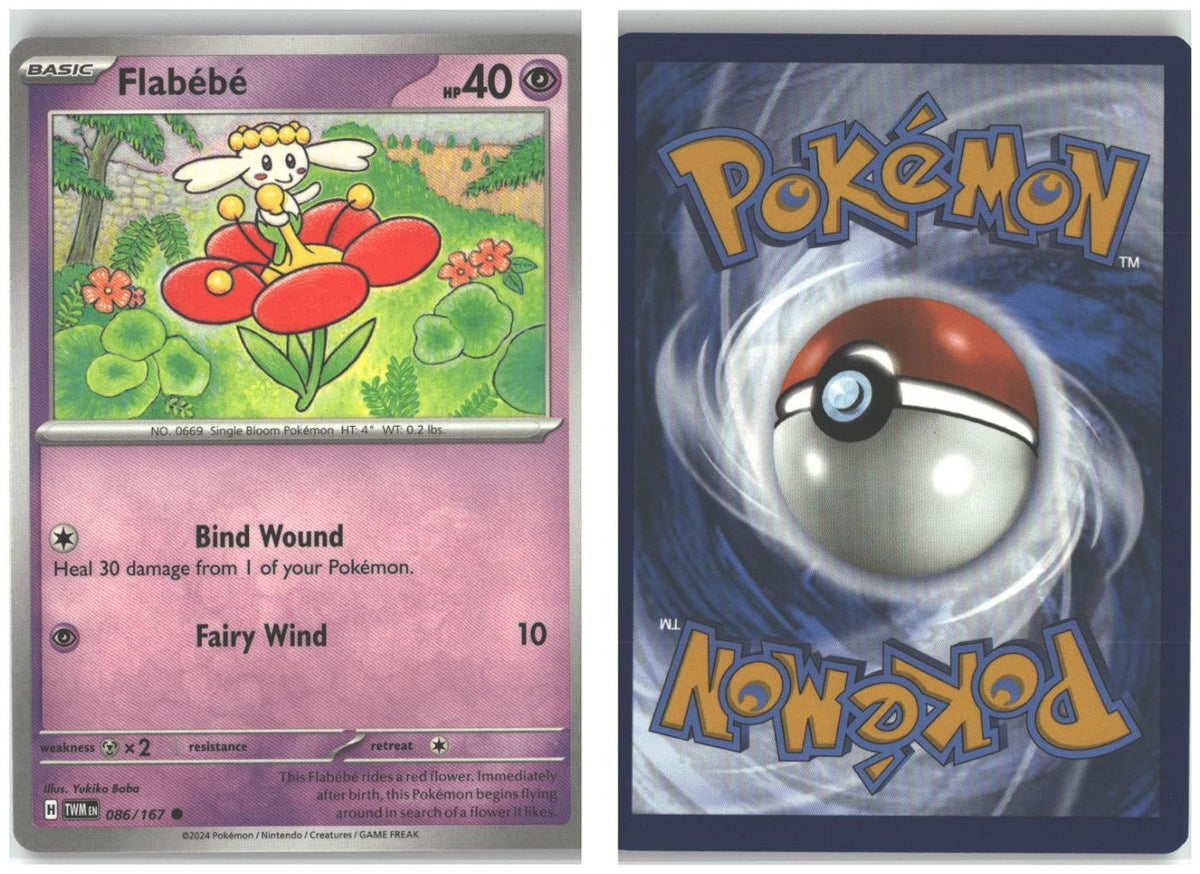 Front + Back scan