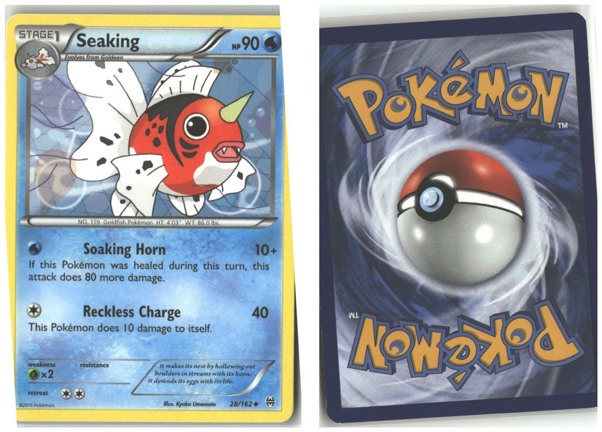 Front + Back scan