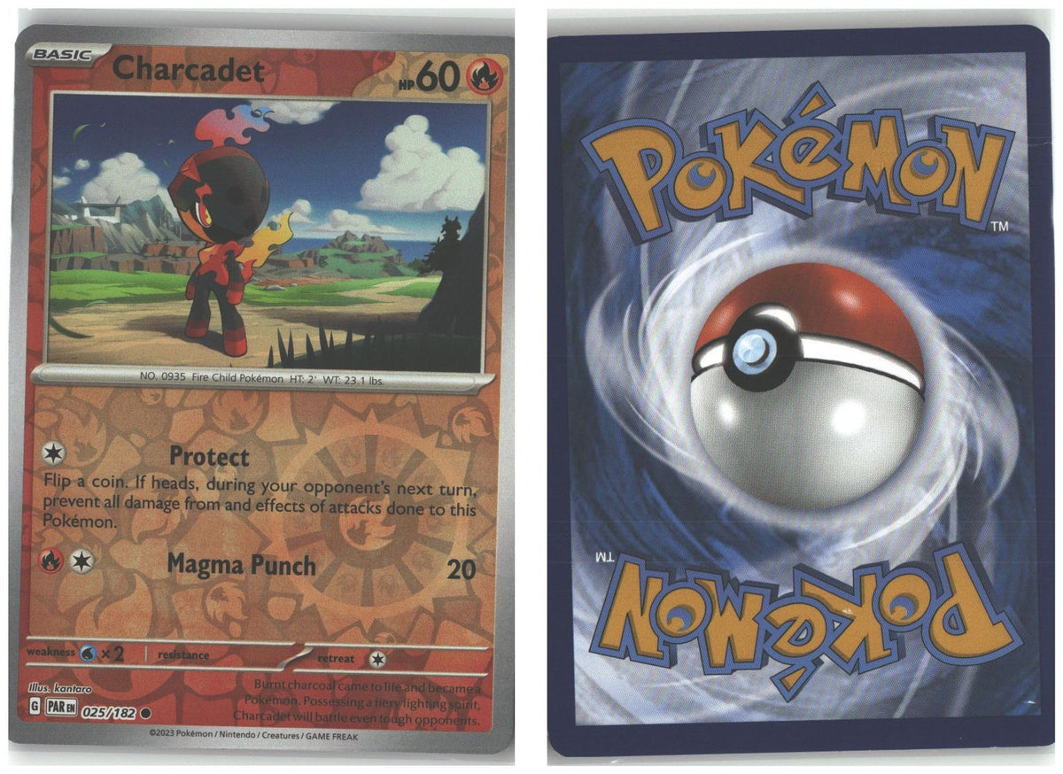 Front + Back scan