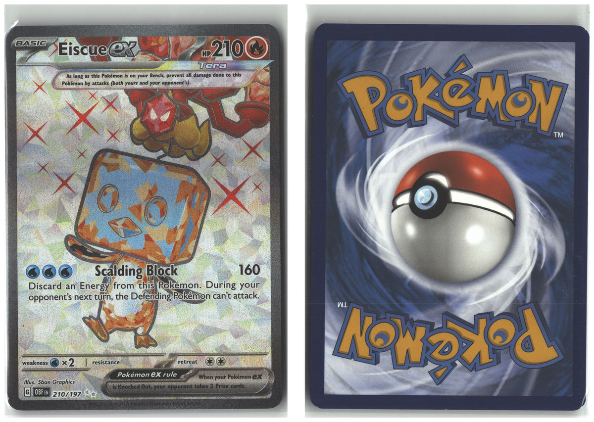 Front + Back scan