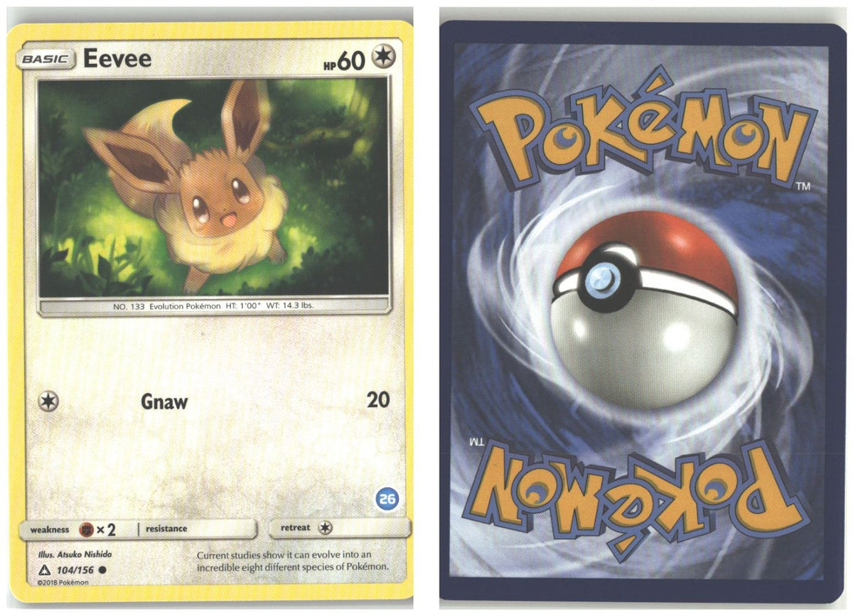Front + Back scan