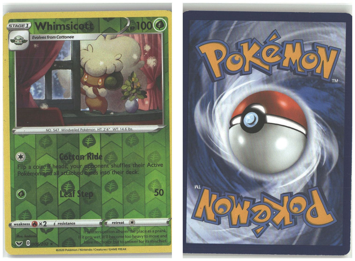 Front + Back scan