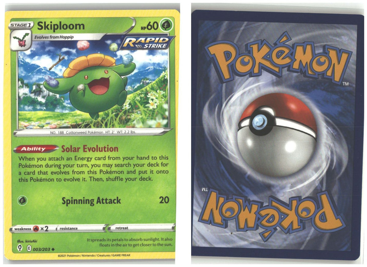 Front + Back scan