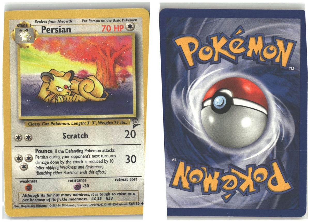 Front + Back scan