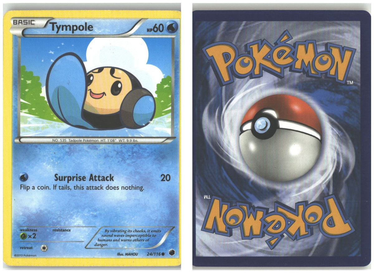 Front + Back scan