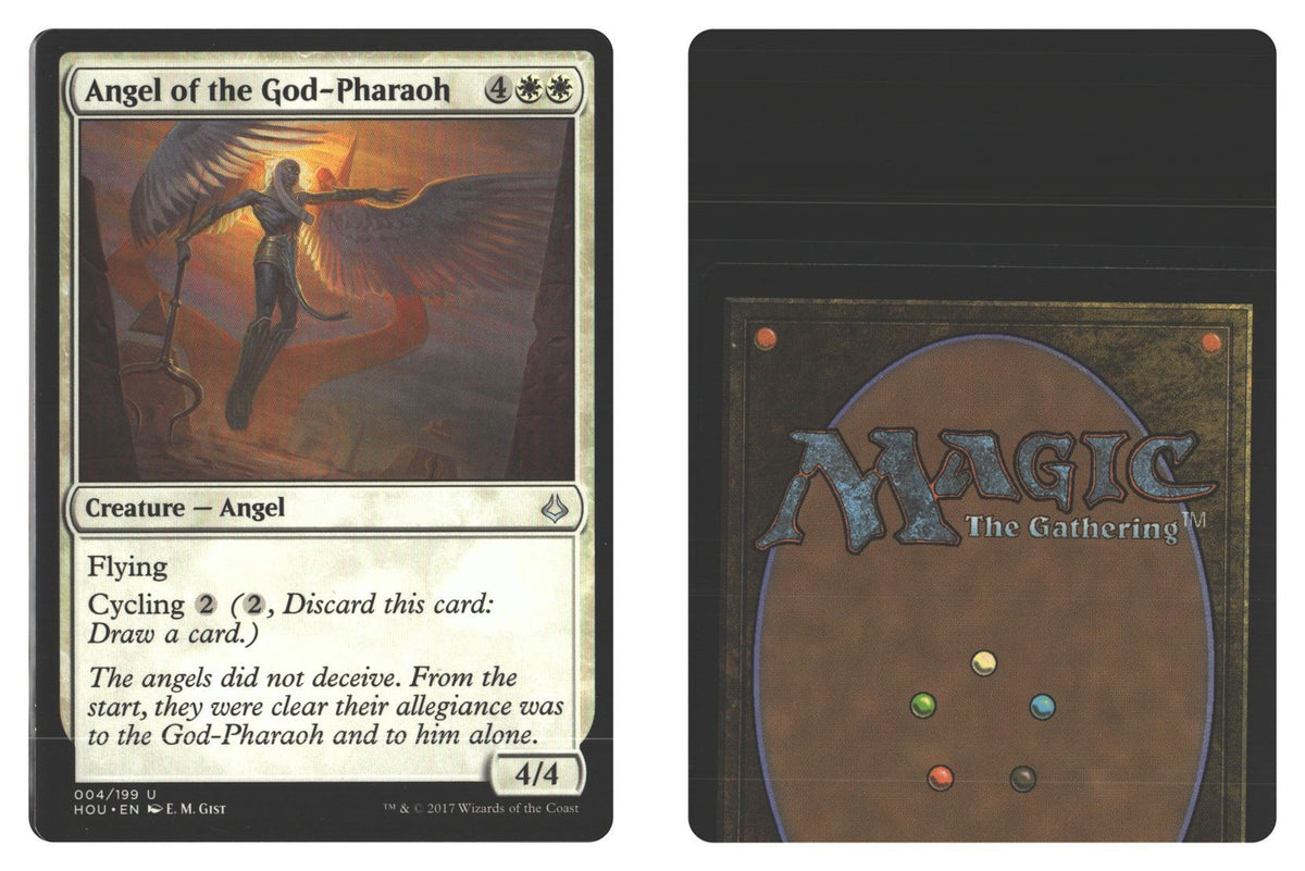 Front + Back scan
