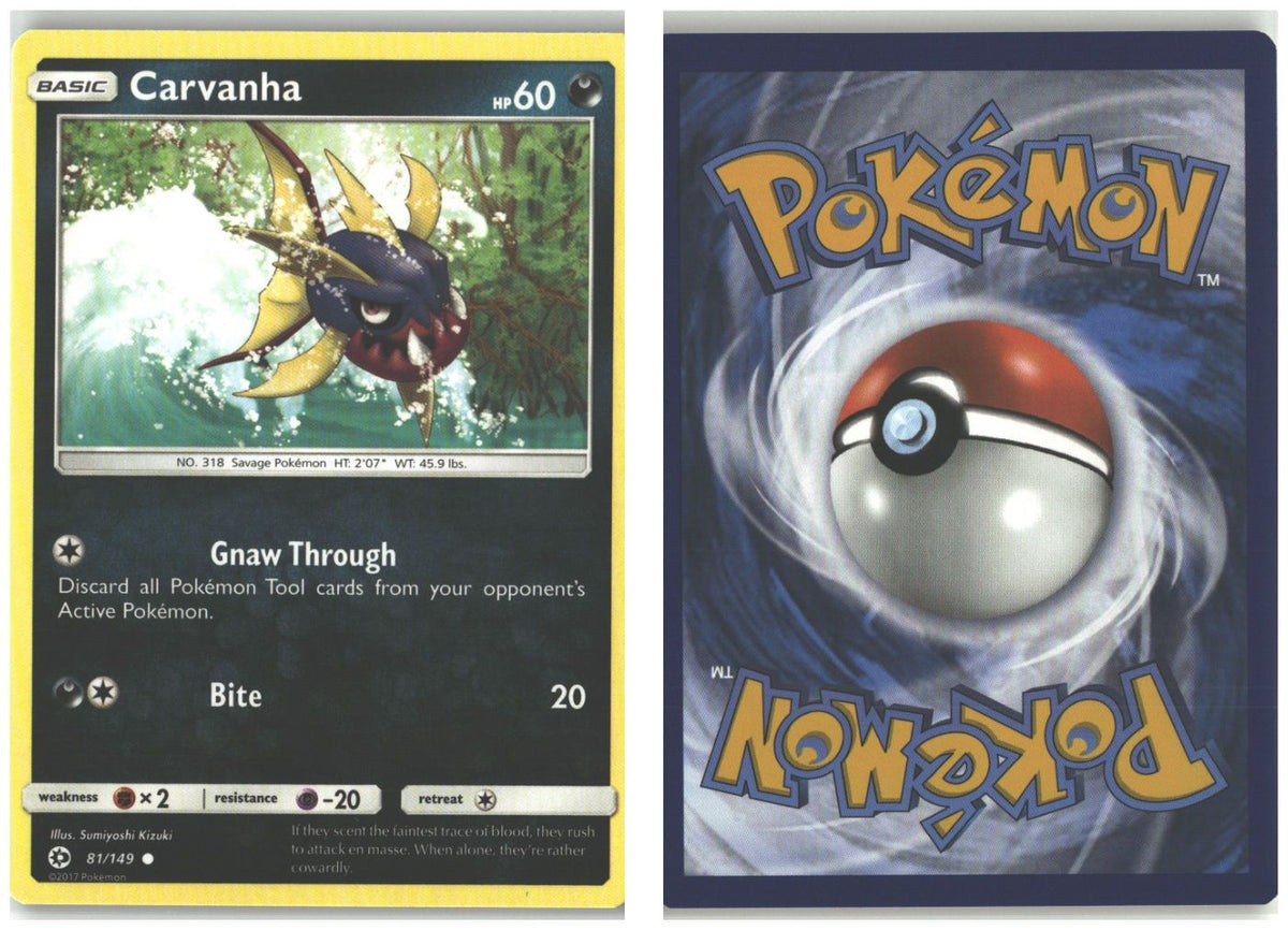 Front + Back scan