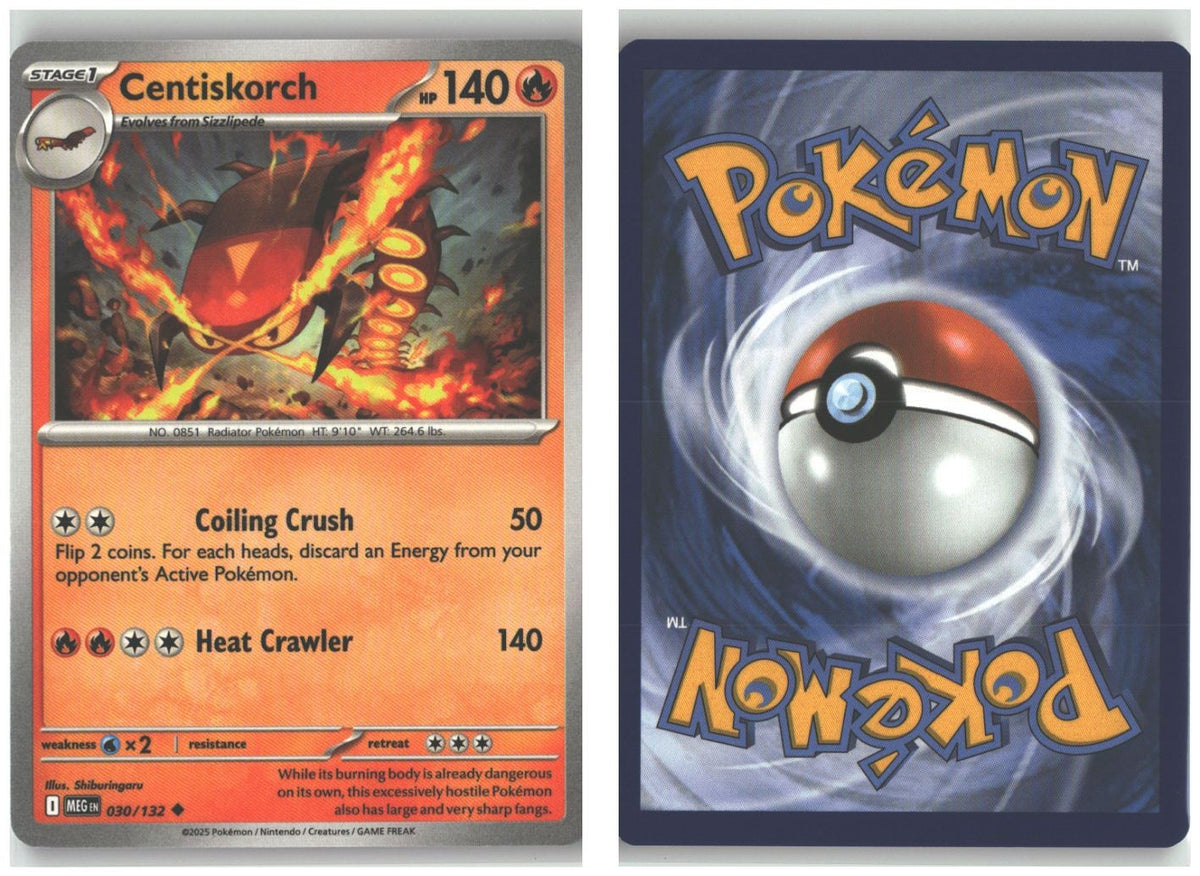 Front + Back scan