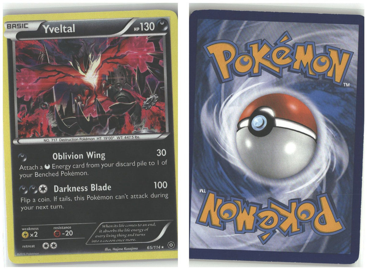 Front + Back scan