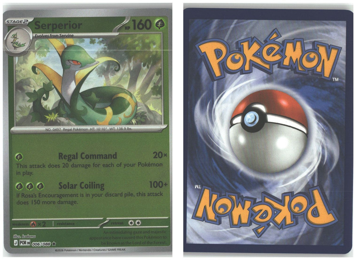 Front + Back scan